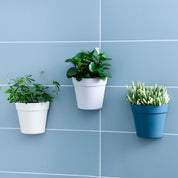 Wall-mounted Plastic Potted Plant Flower Pots